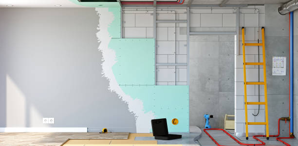 Best Basement Mold Removal  in New Kingman Butler, AZ