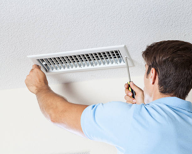  New Kingman Butler, AZ Mold Removal Pros
