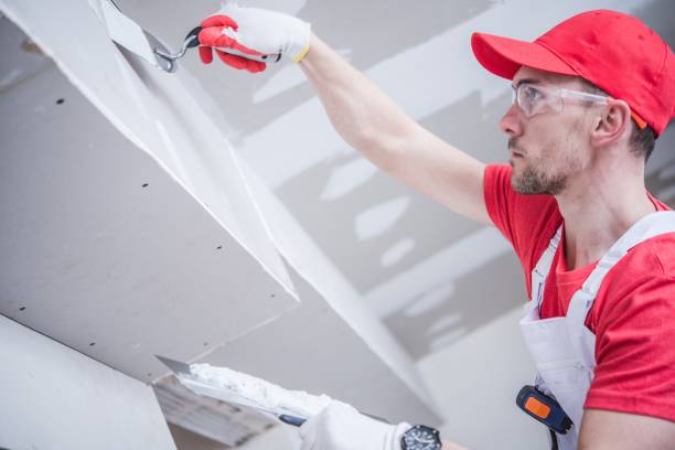 Mold Remediation for Vacation Homes in New Kingman Butler, AZ